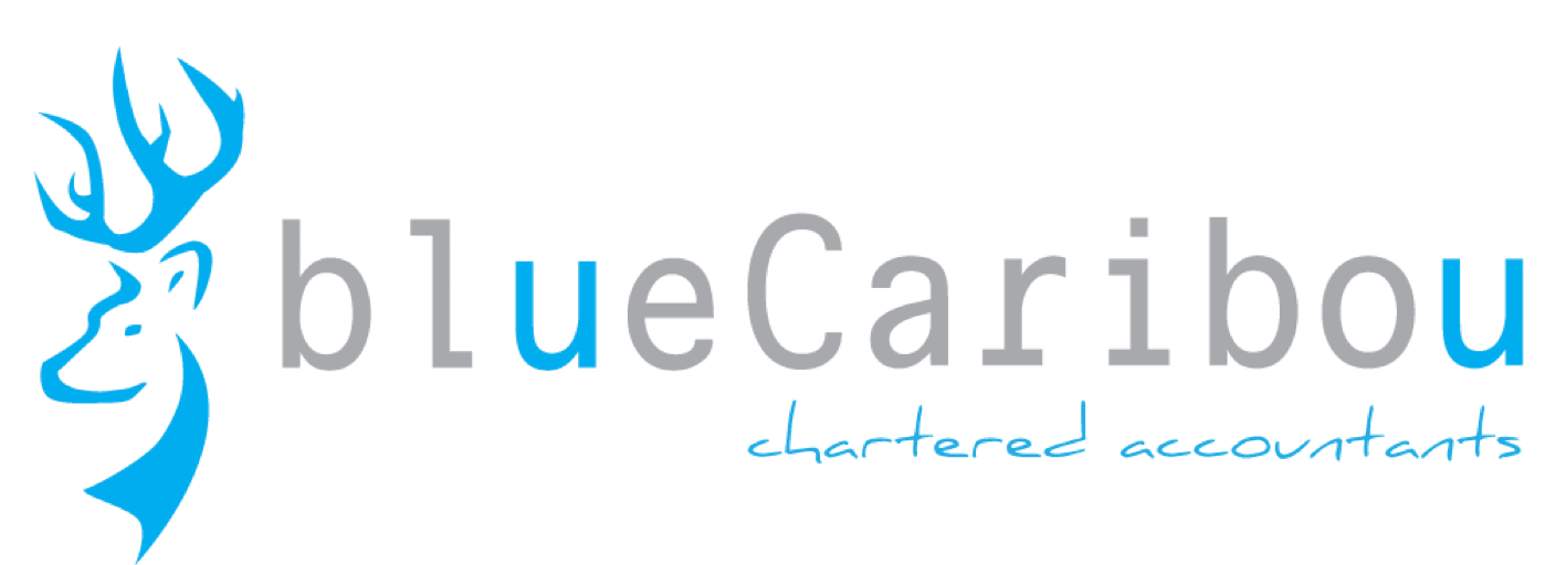 blueCaribou Chartered Accountants